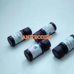 Anitbodies
