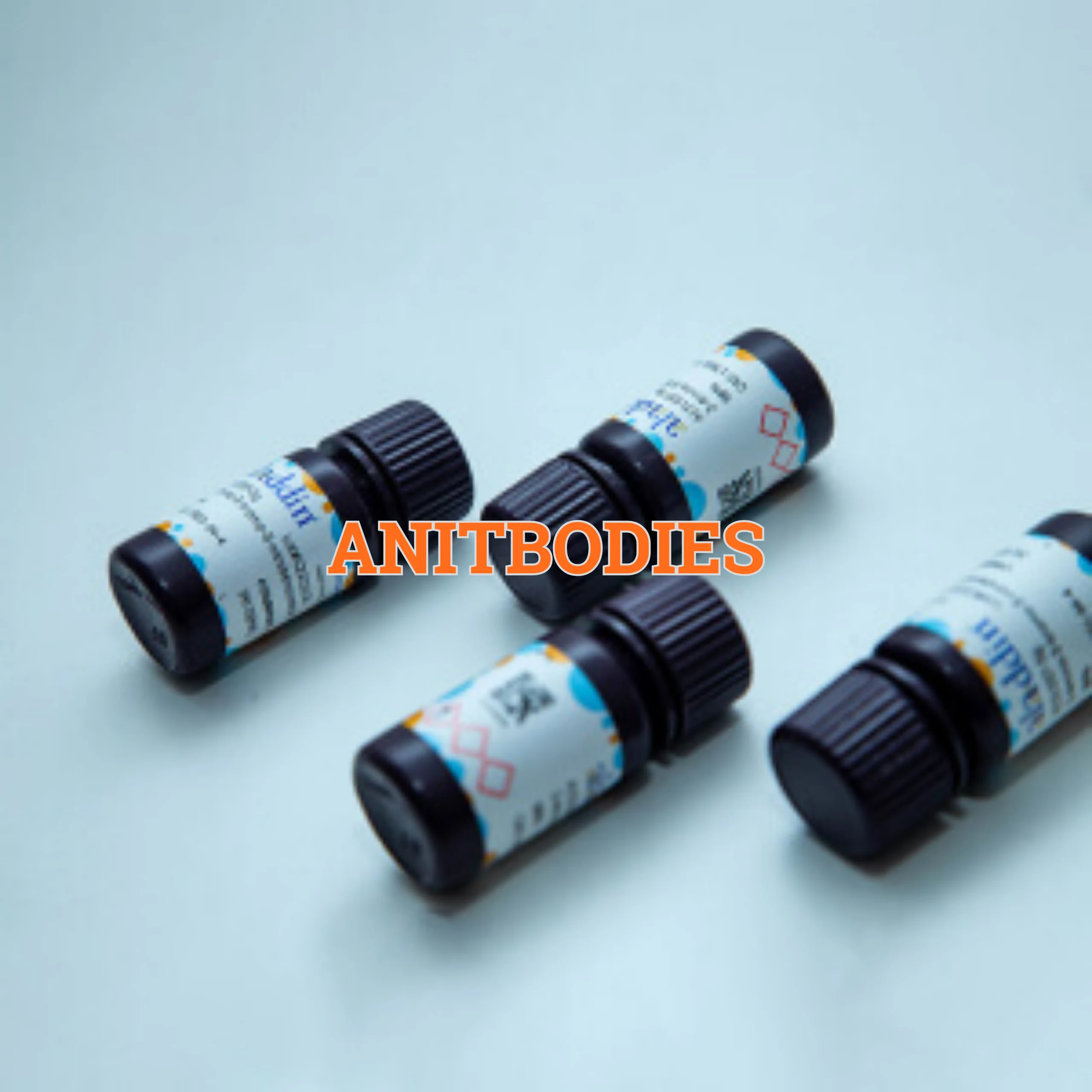 Anitbodies
