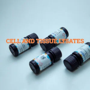 Cell and Tissue Lysates