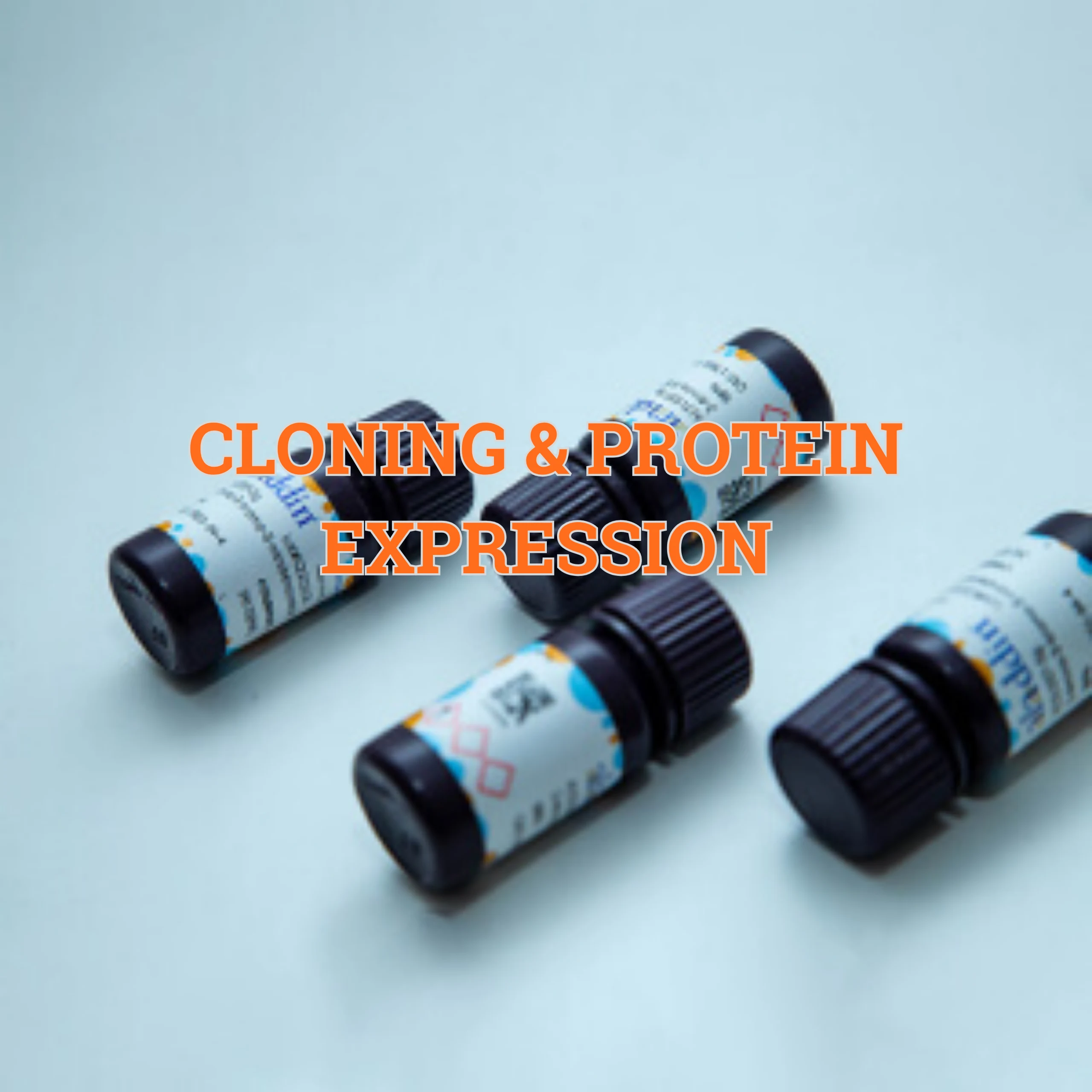 Cloning & Protein Expression